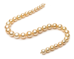 10.1-14.6mm Söderhavet Halsband i 18-inch Guld