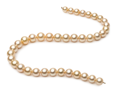 9.6-12.6mm Söderhavet Halsband i 18-inch Guld