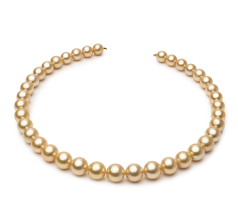 9.5-11.9mm Söderhavet Halsband i 18-inch Guld