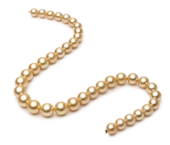 9.5-11.9mm Söderhavet Halsband i 18-inch Guld