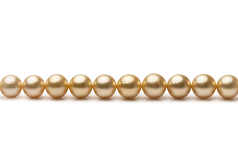 9.5-11.9mm Söderhavet Halsband i 18-inch Guld