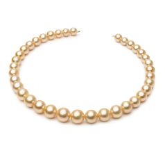 9.7-13.9mm Söderhavet Halsband i 18-inch Guld