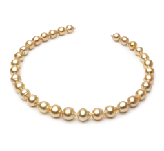 10.1-12.5mm Söderhavet Halsband i Golden 18-inch Guld