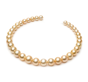 10.1-14.6mm Söderhavet Halsband i 18-inch Guld