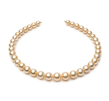 9.6-12.6mm Söderhavet Halsband i 18-inch Guld